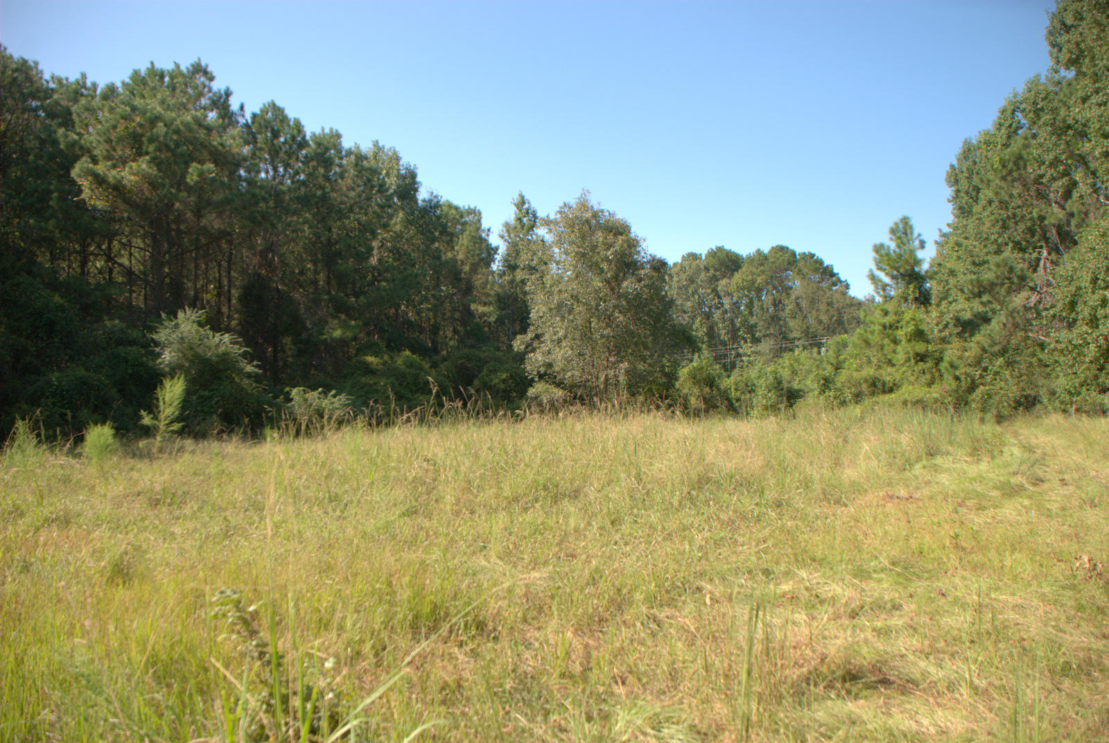 1921 Liberia Road Wadmalaw Island, SC 29487 - Photo 12 of 34 DSC_4331