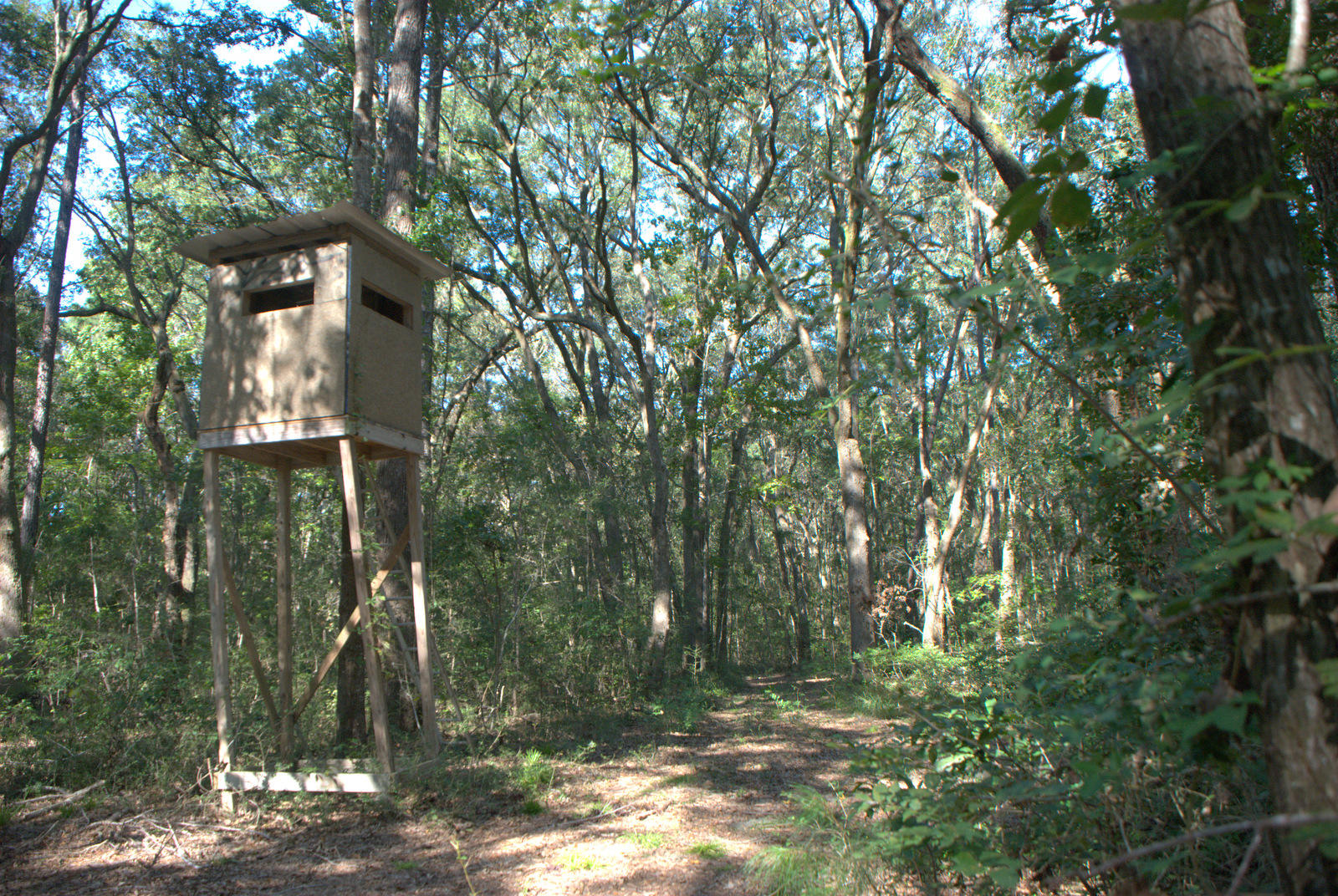 1921 Liberia Road Wadmalaw Island, SC 29487 - Photo 31 of 34 DSC_4358