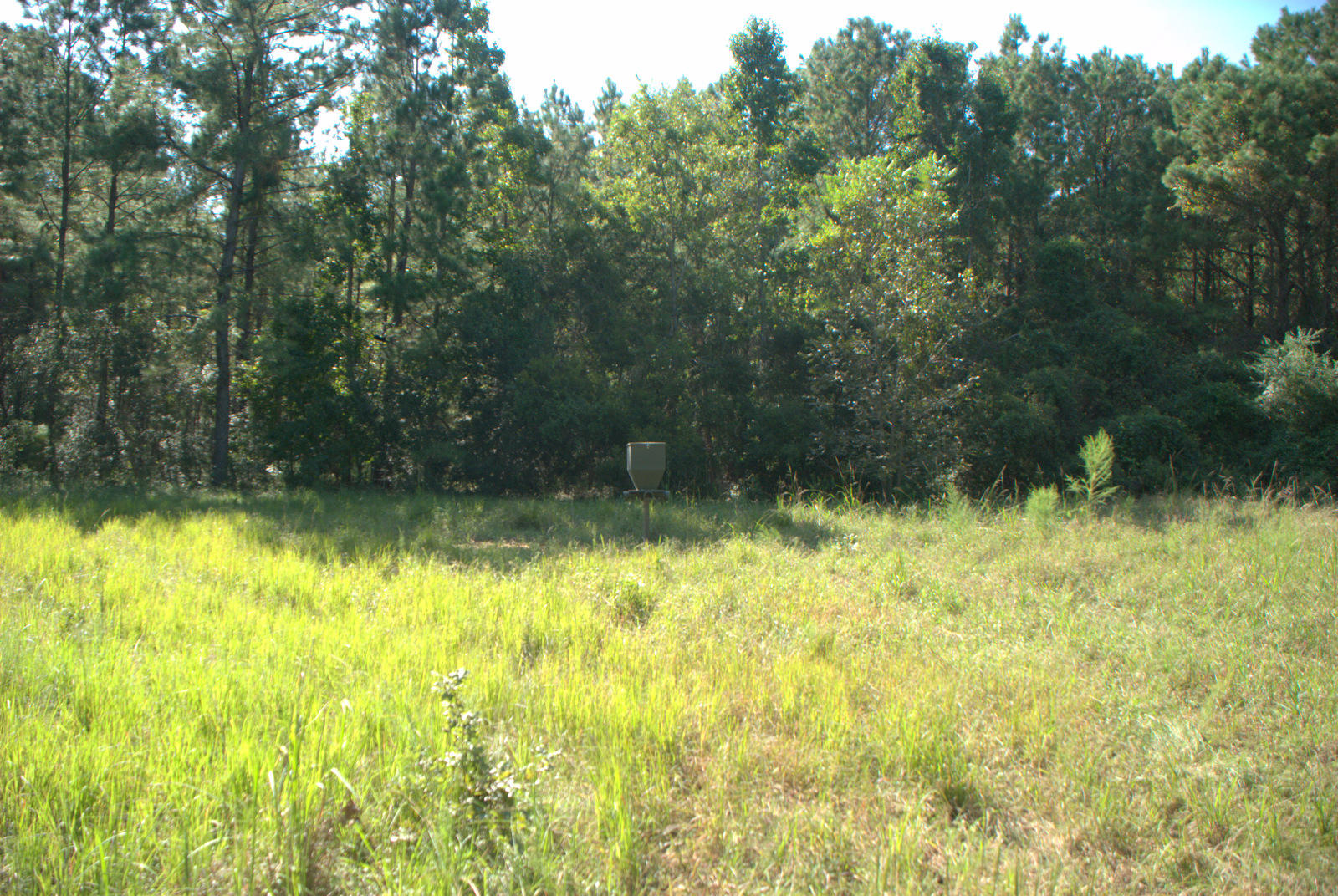 1921 Liberia Road Wadmalaw Island, SC 29487 - Photo 8 of 34 DSC_4327