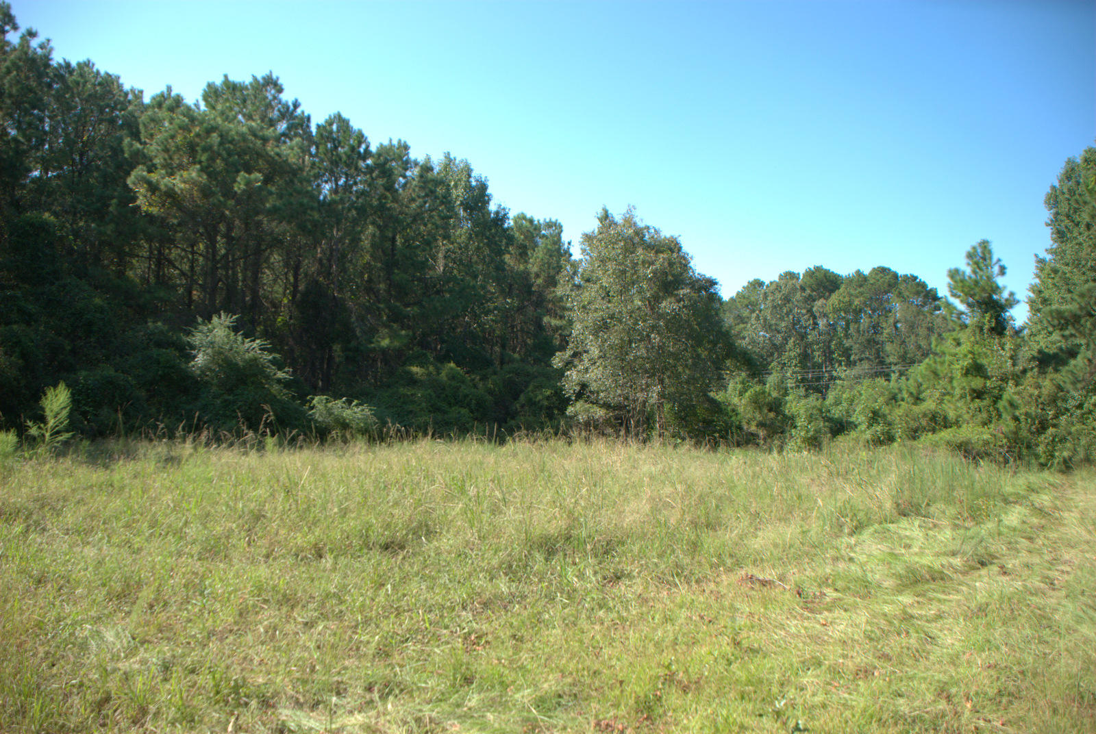 1921 Liberia Road Wadmalaw Island, SC 29487 - Photo 9 of 34 DSC_4328
