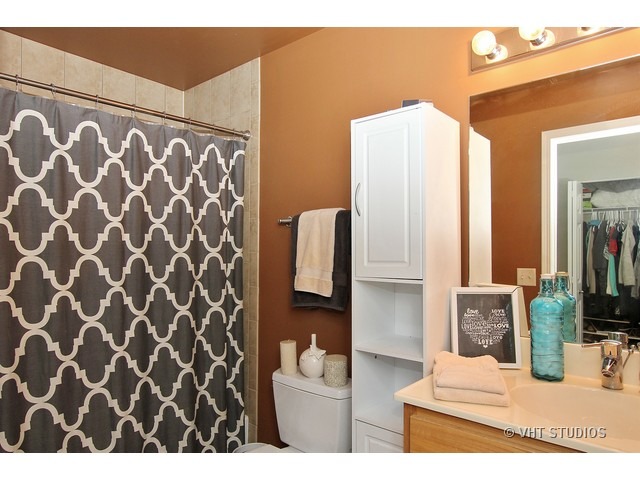 2025 South Indiana Avenue, Unit 211 Chicago, IL 60616 - Photo 9 of 10 a bathroom with a sink and a mirror