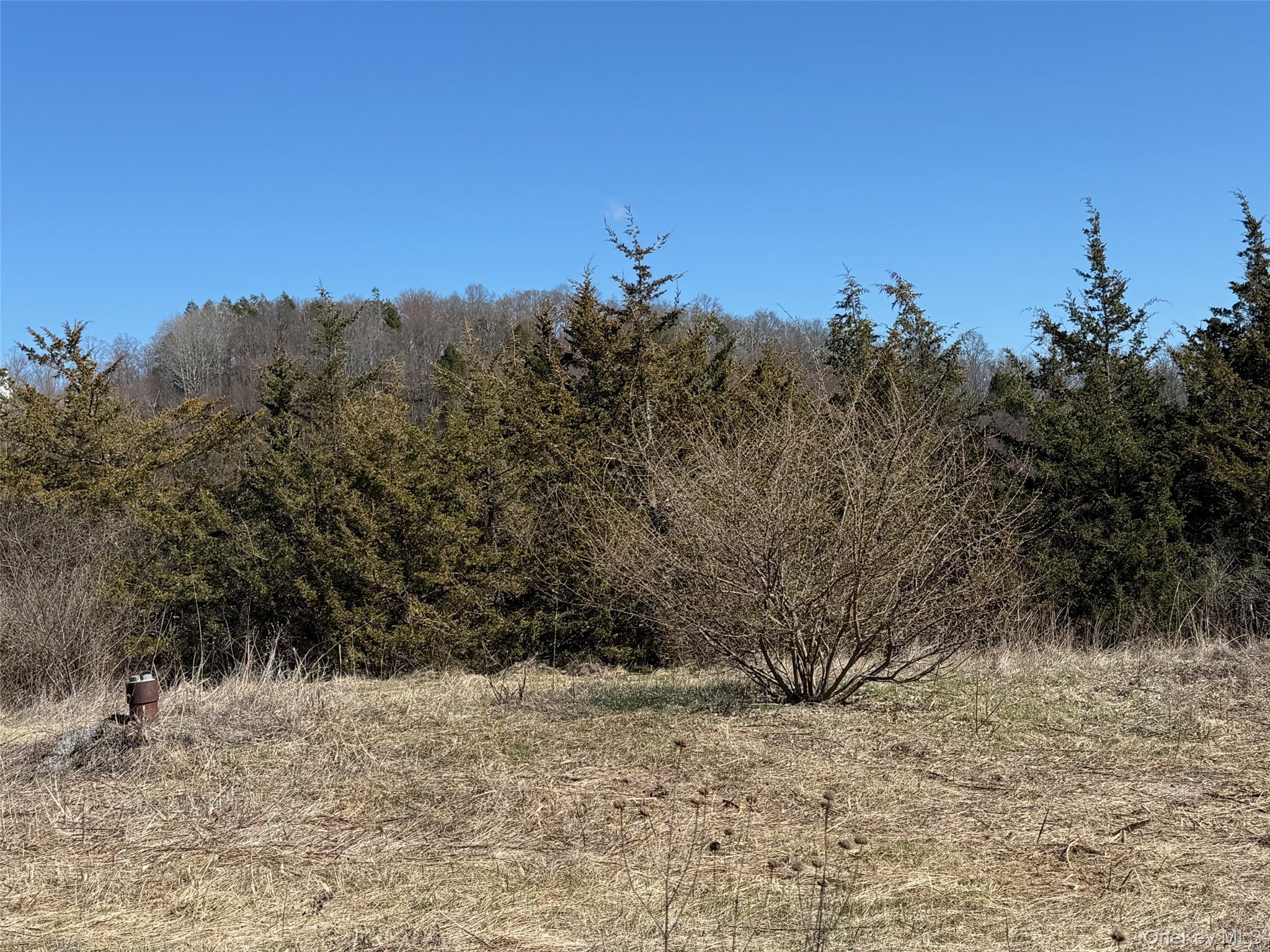 2 Westerly Ridge Drive Amenia, NY 12501 - Photo 12 of 16 a view of a dry yard with trees in the background