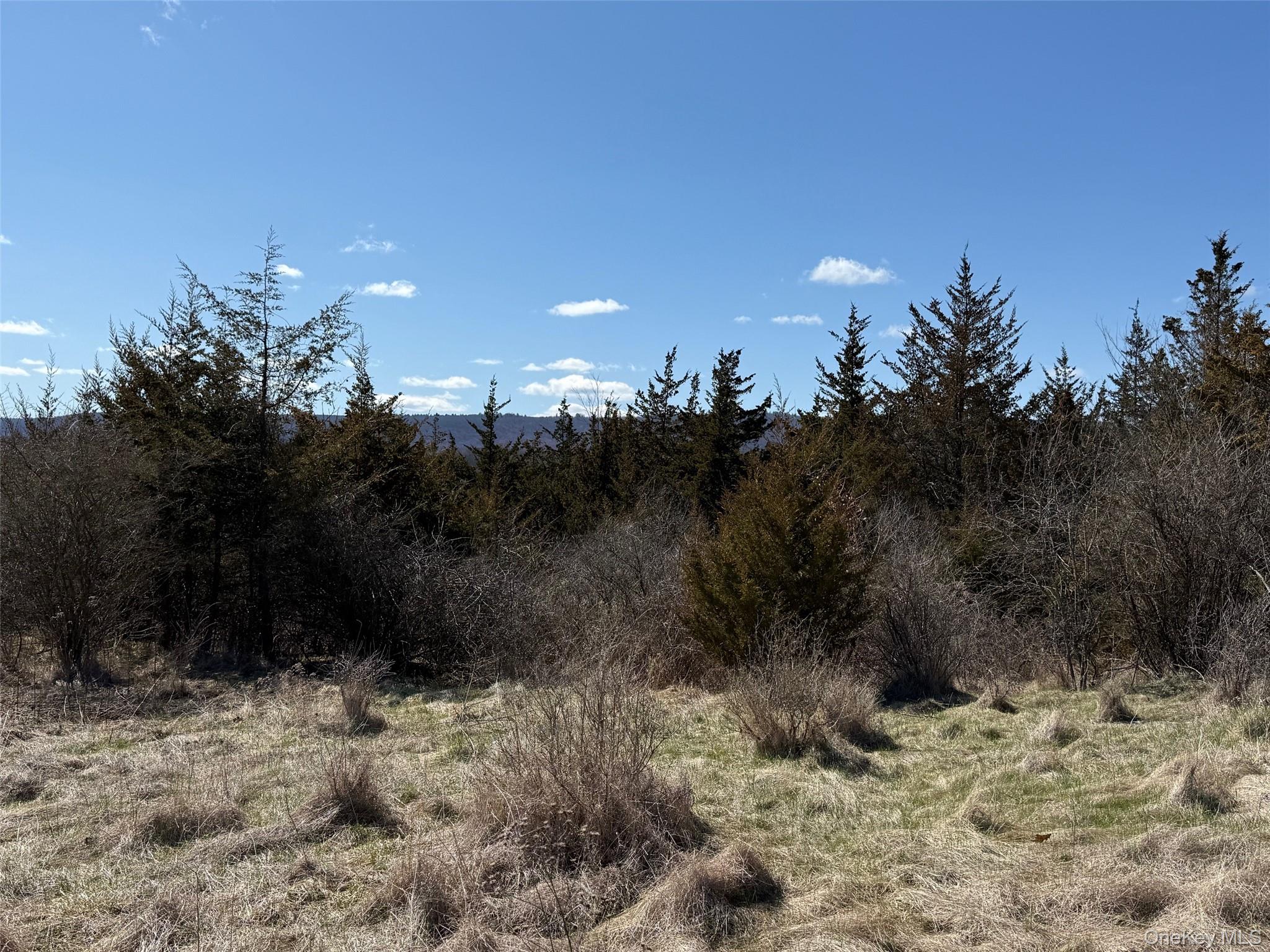 2 Westerly Ridge Drive Amenia, NY 12501 - Photo 13 of 16 a view of outdoor space and trees