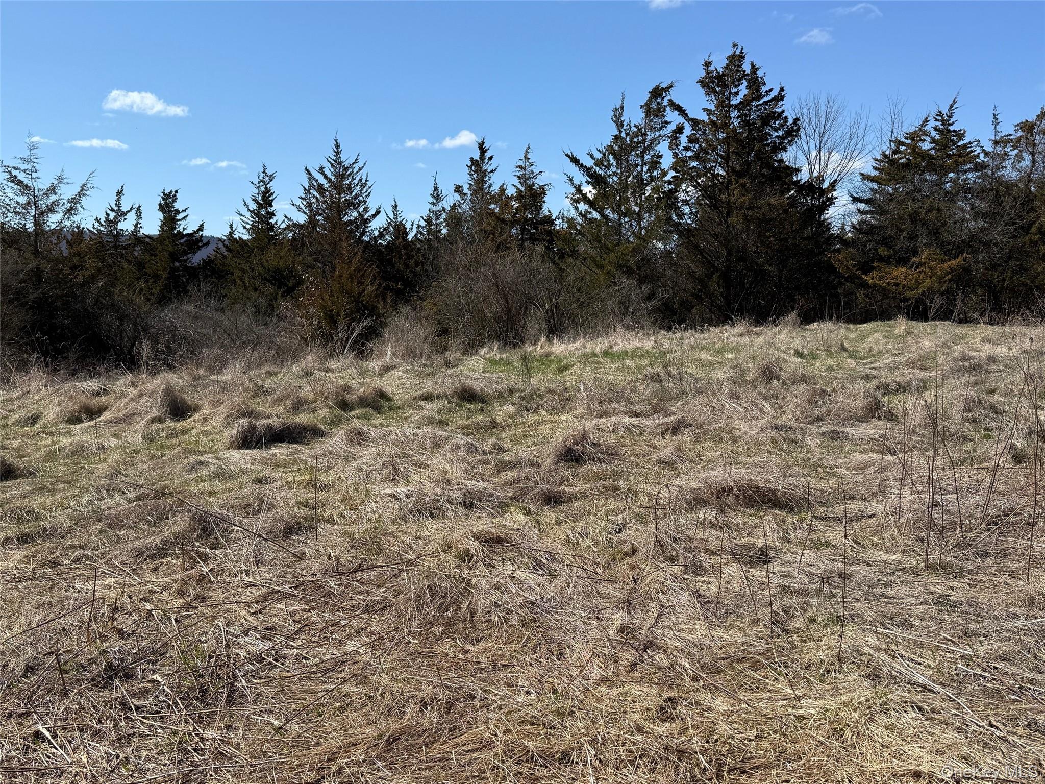 2 Westerly Ridge Drive Amenia, NY 12501 - Photo 15 of 16 a view of a dry yard with trees