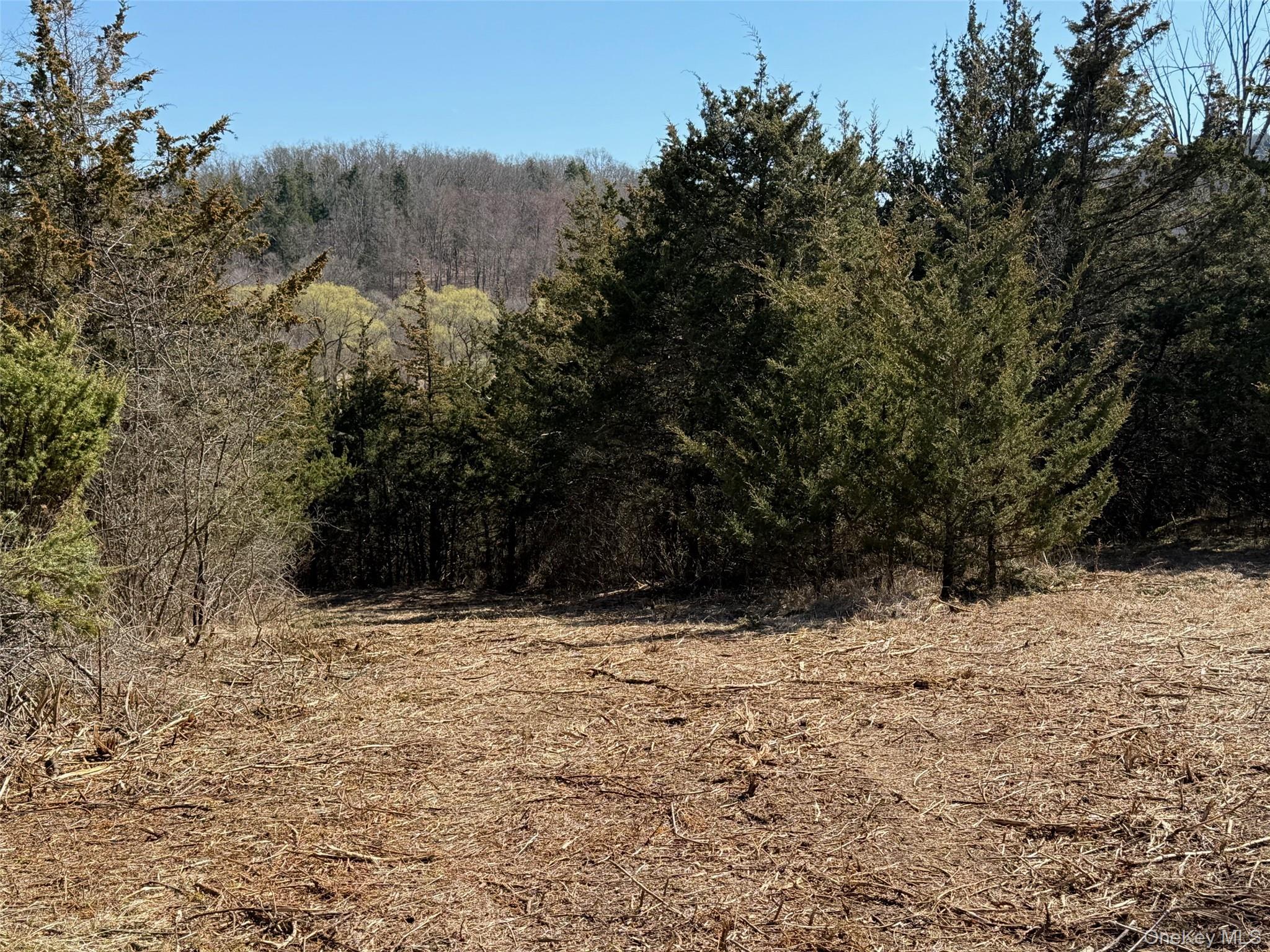 2 Westerly Ridge Drive Amenia, NY 12501 - Photo 16 of 16 a view of a yard