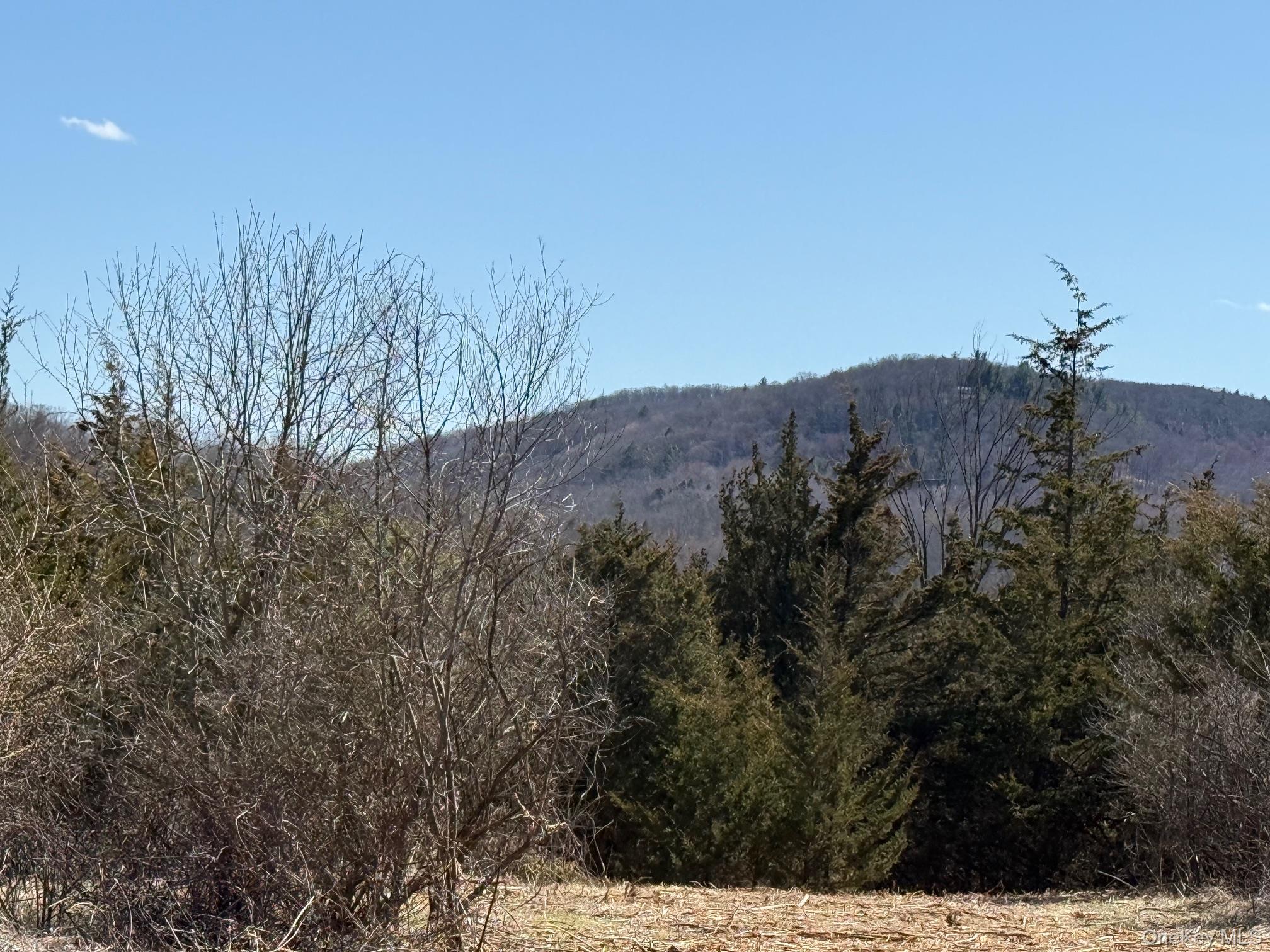 2 Westerly Ridge Drive Amenia, NY 12501 - Photo 5 of 16 a view of a house with a mountain and a forest