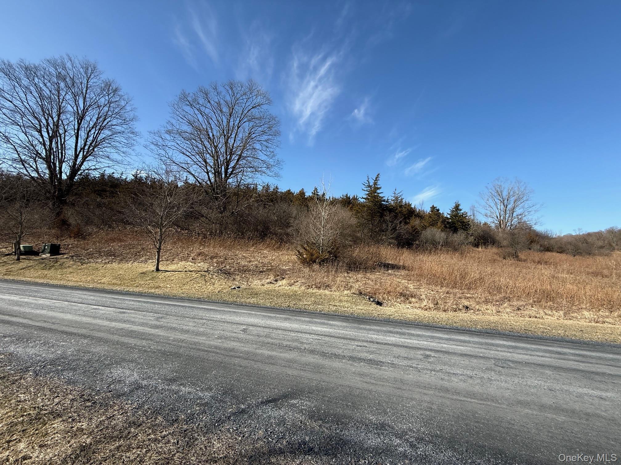 2 Westerly Ridge Drive Amenia, NY 12501 - Photo 7 of 16 a view of a yard with snow on the road