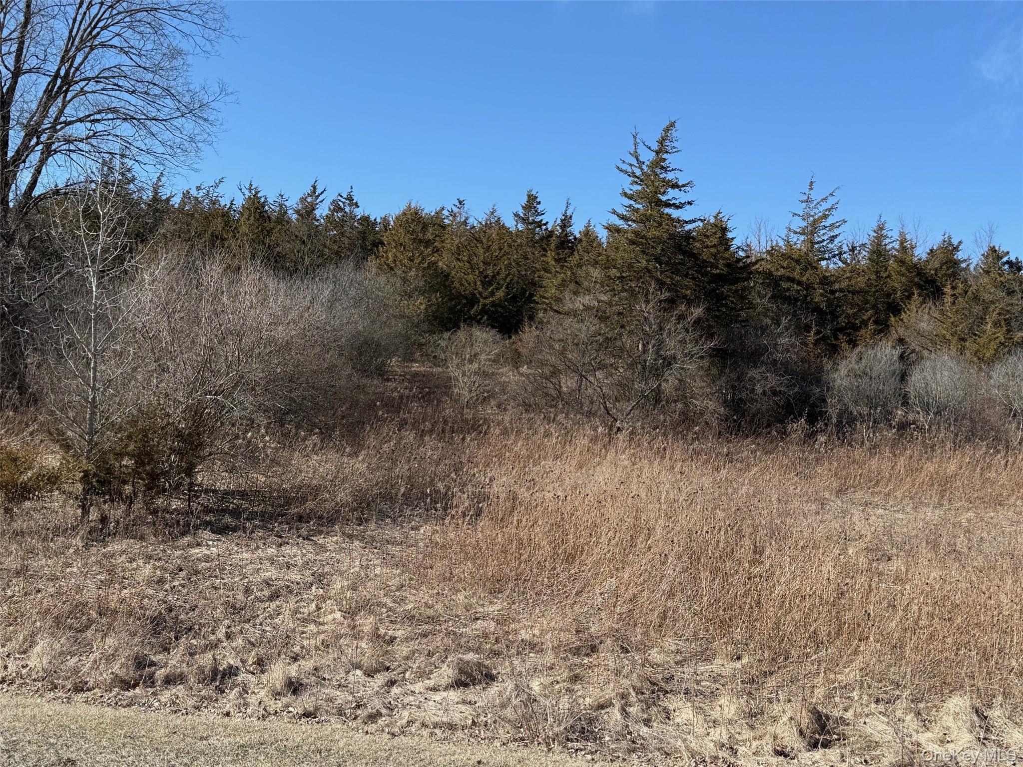 2 Westerly Ridge Drive Amenia, NY 12501 - Photo 8 of 16 a view of a dry yard with trees