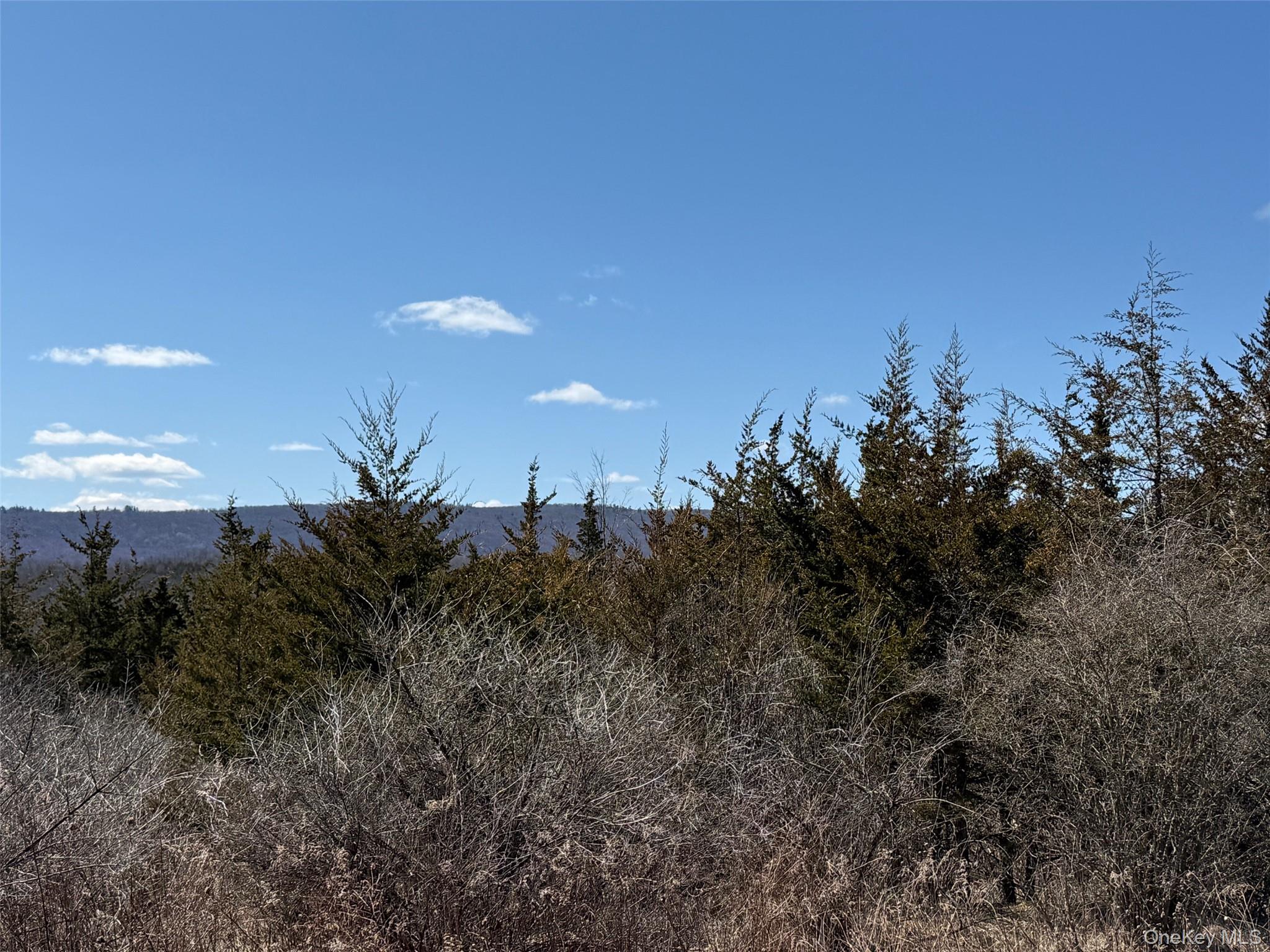 2 Westerly Ridge Drive Amenia, NY 12501 - Photo 9 of 16 a view of a city