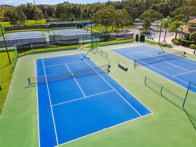 $815,000 | 17112 Downs Drive, Odessa, FL 33556