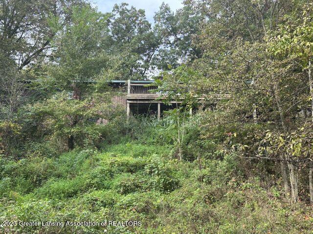 7664 Walnut Grove Road Portland, MI 48875 - Photo 21 of 24 IMG_6135