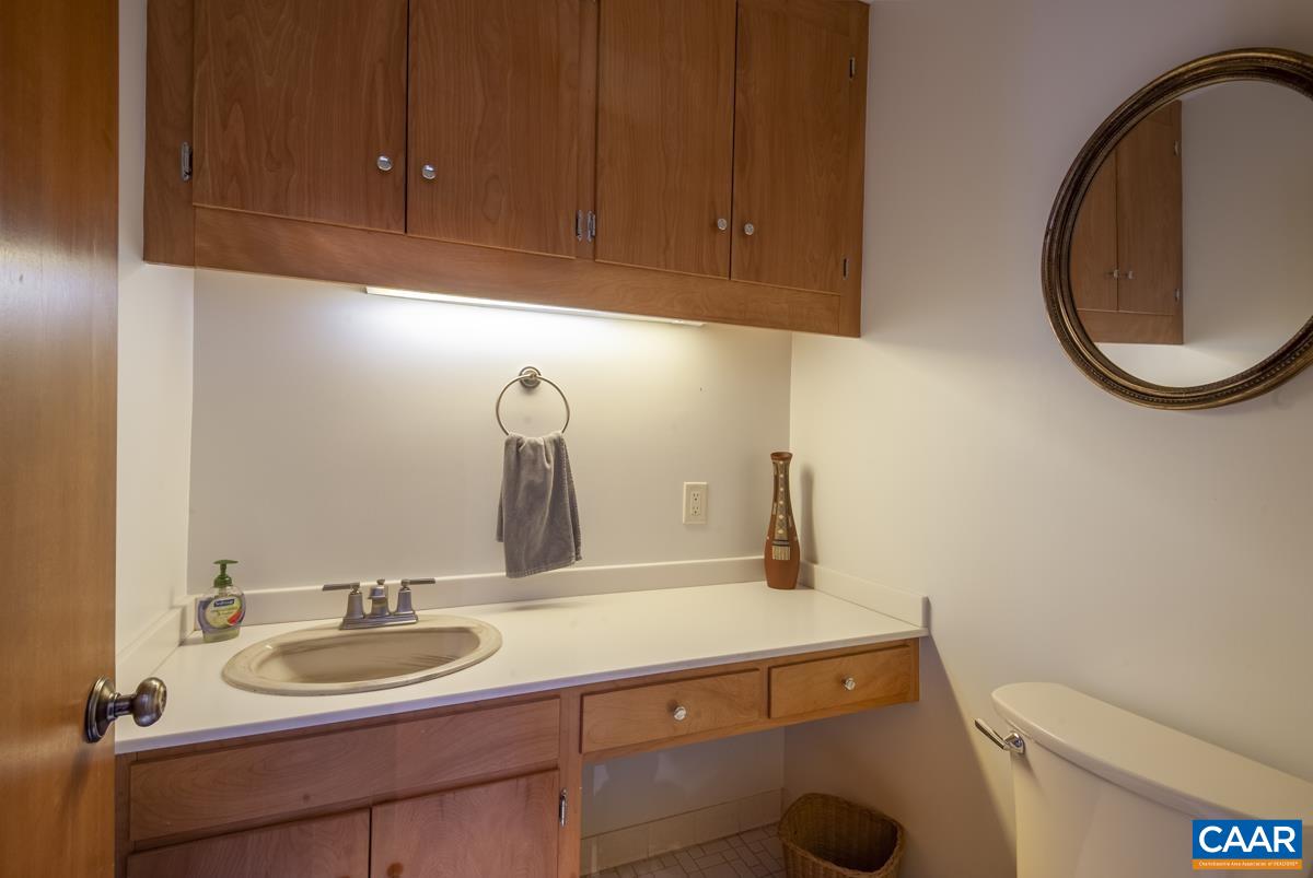 397 Rodes Valley Drive Nellysford, VA 22958 - Photo 23 of 46 a bathroom with a sink and a toilet