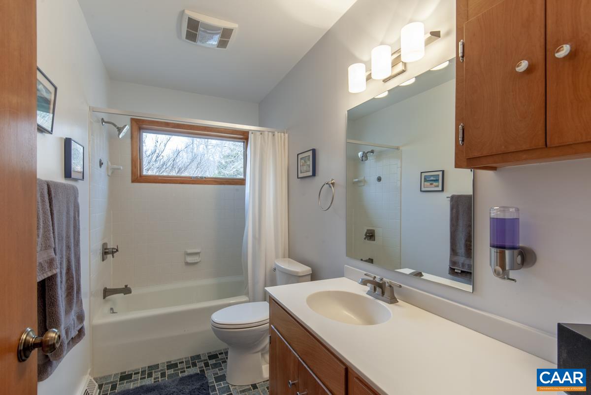 397 Rodes Valley Drive Nellysford, VA 22958 - Photo 26 of 46 a bathroom with a sink a toilet and shower
