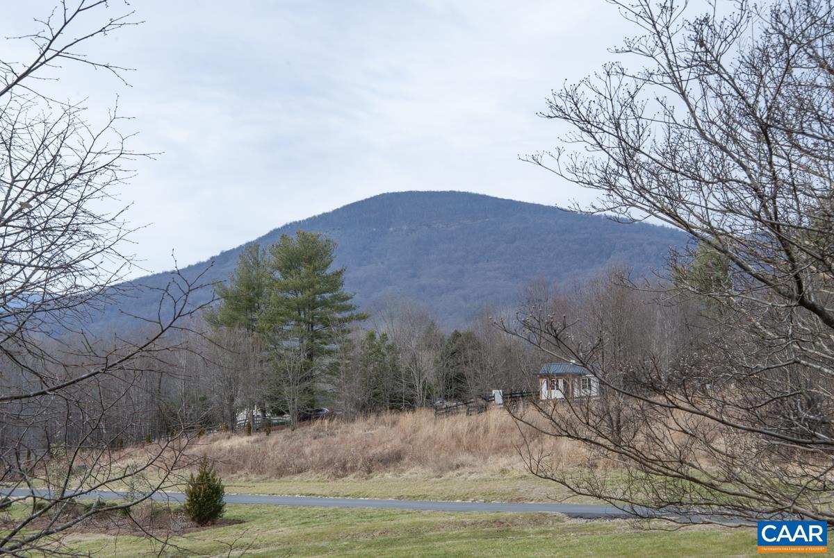 397 Rodes Valley Drive Nellysford, VA 22958 - Photo 39 of 46