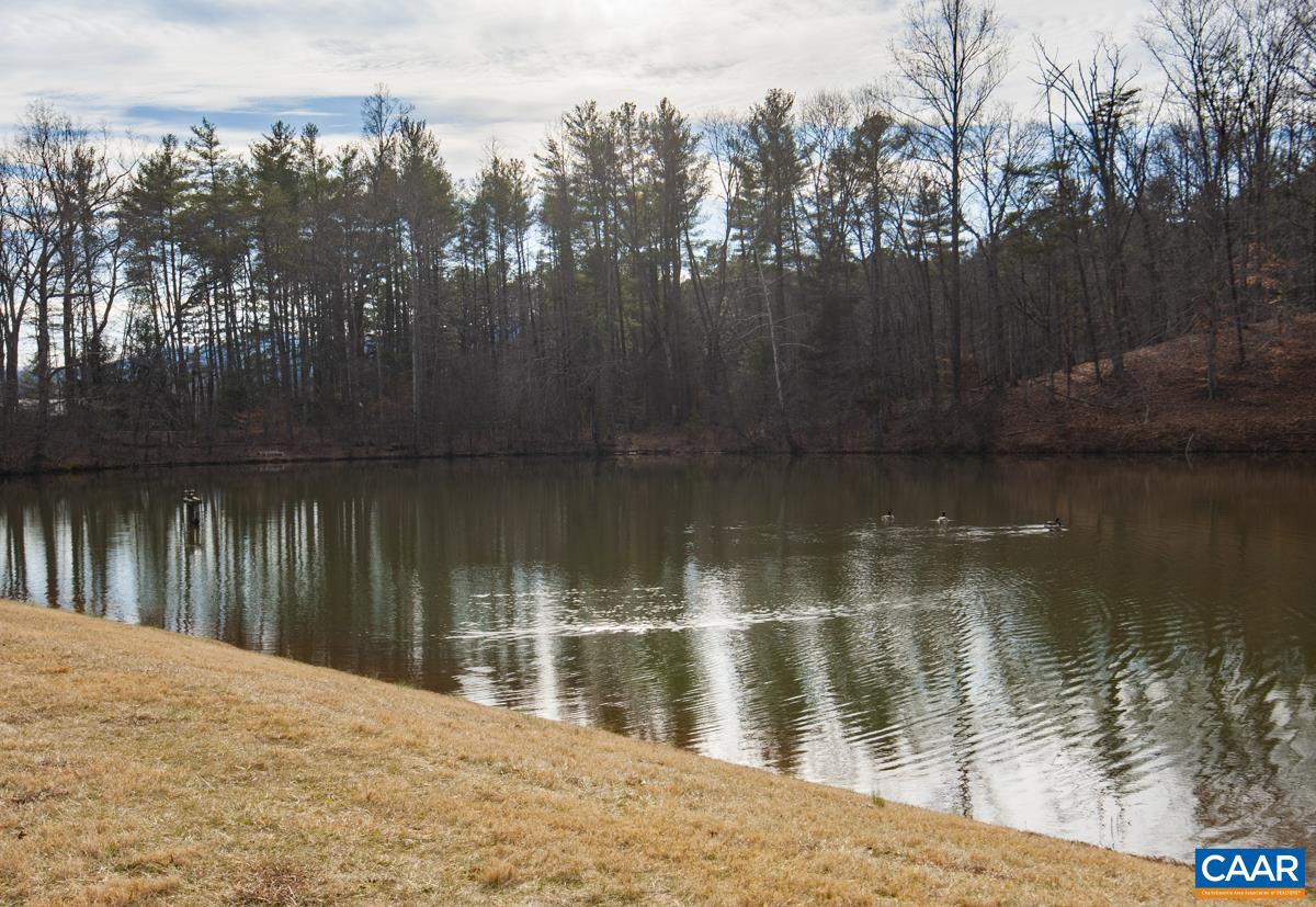 397 Rodes Valley Drive Nellysford, VA 22958 - Photo 42 of 46 a lake view