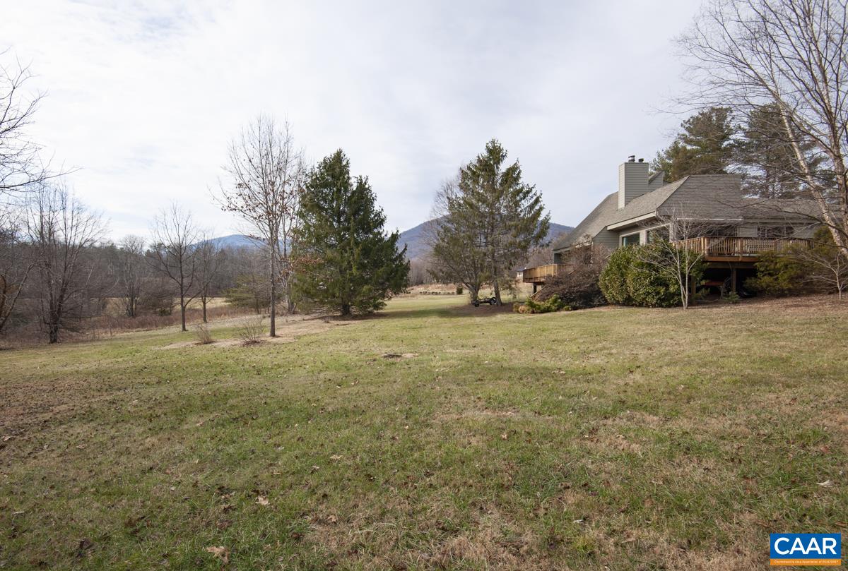 397 Rodes Valley Drive Nellysford, VA 22958 - Photo 5 of 46 a view of large trees and a yard