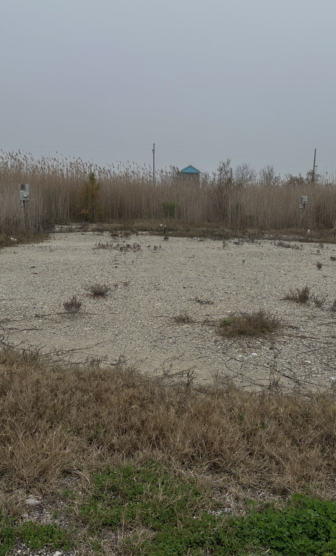 1064 Beach Front Road Port Bolivar, TX 77650 - Photo 3 of 5