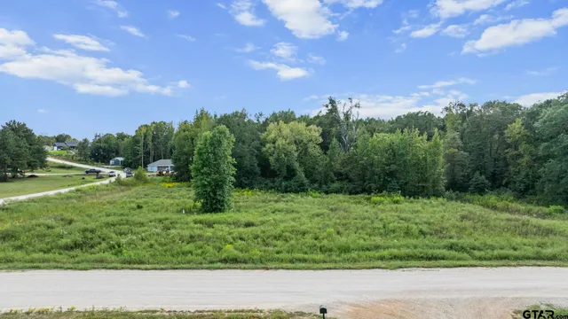 $110,000 | 16404 Lepanto Lane, Winona, TX 75792