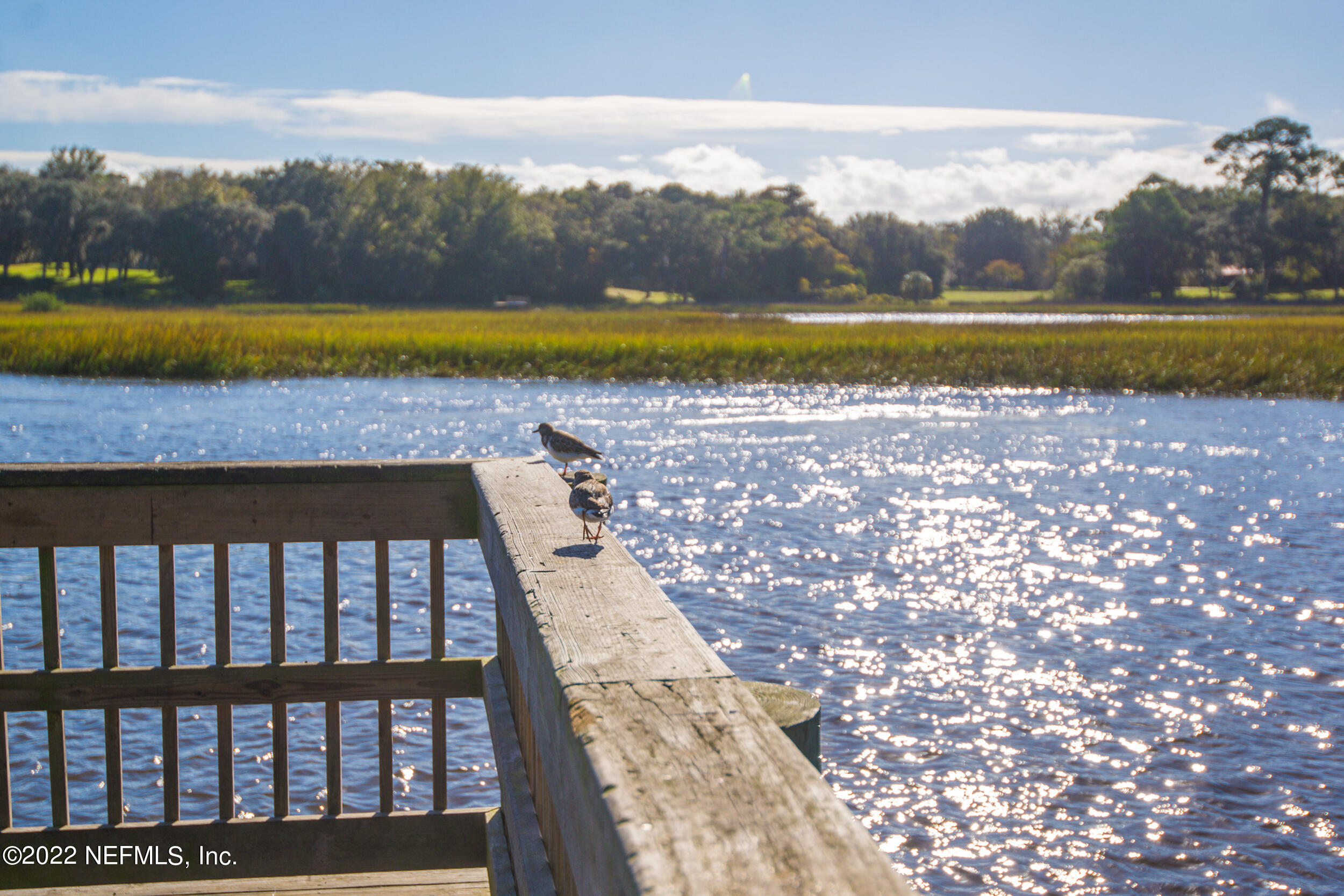 513 Jasmine Road St. Augustine, FL 32086 - Photo 29 of 37 a view of a city with an ocean beach