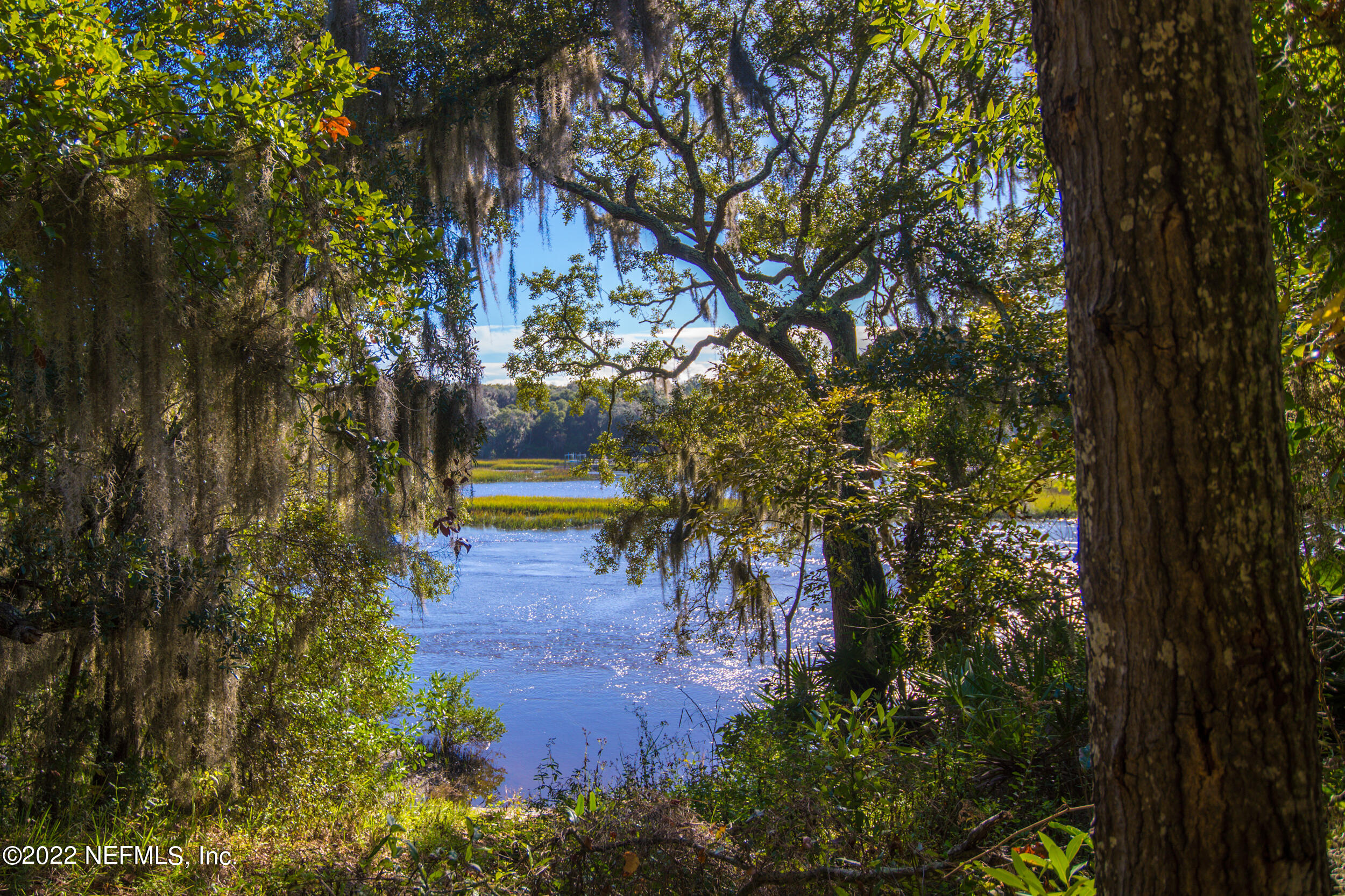 513 Jasmine Road St. Augustine, FL 32086 - Photo 32 of 37 a view of a park with large trees