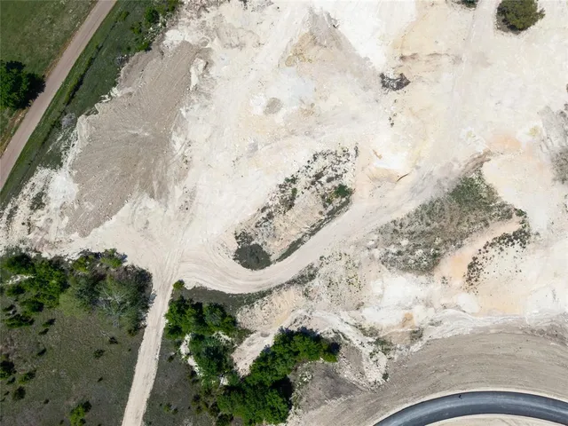 a view of a yard with plants