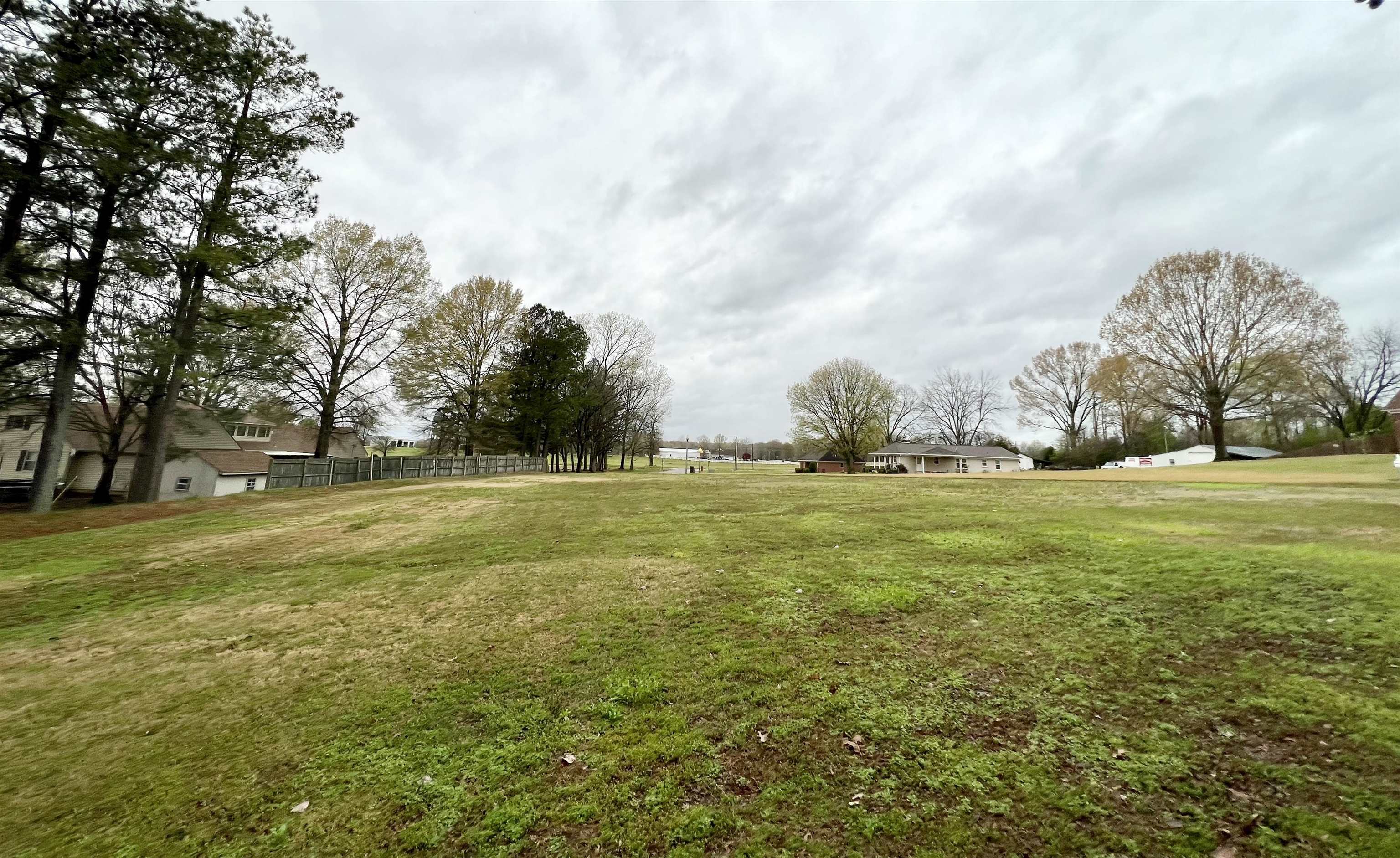 233 Jenny Cove Ripley, TN 38063 - Photo 2 of 3 a view of yard with green space