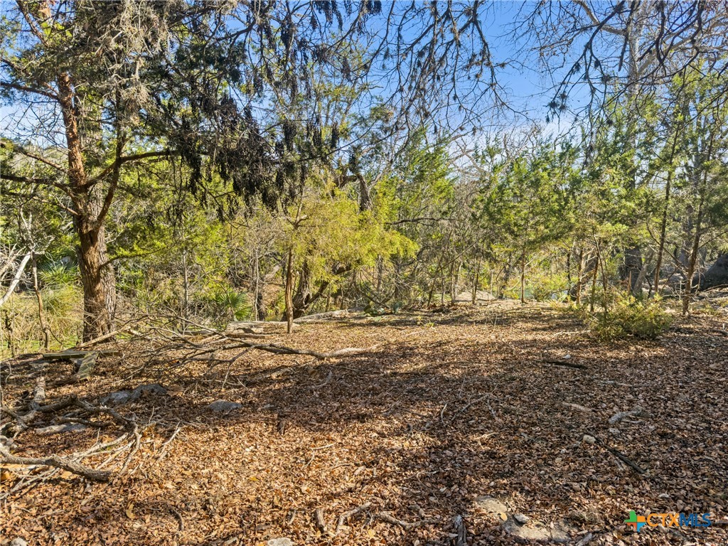 1075 Pegasus Drive Spring Branch, TX 78070 - Photo 12 of 29