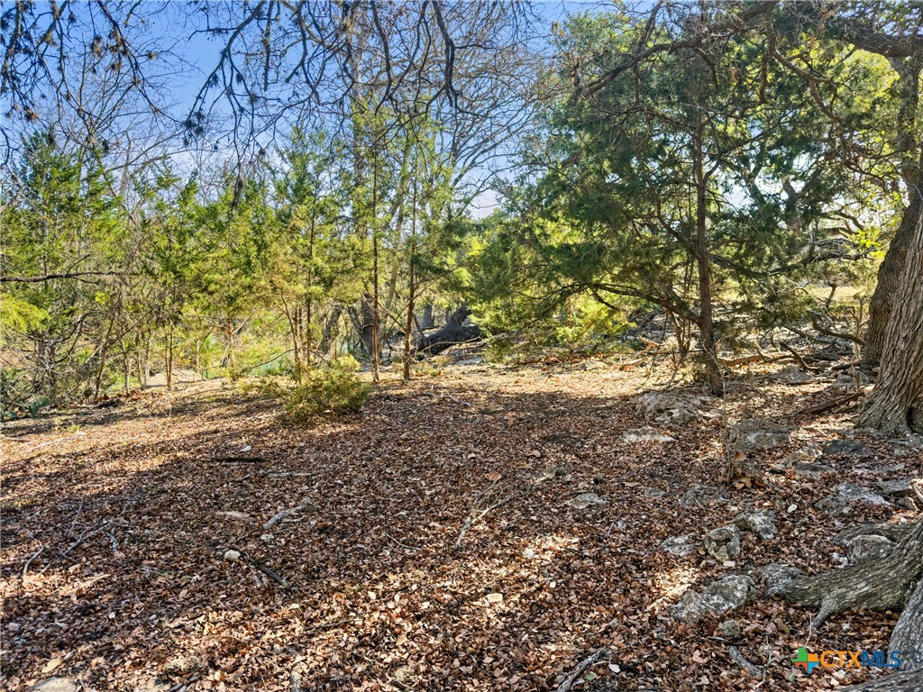 1075 Pegasus Drive Spring Branch, TX 78070 - Photo 13 of 29