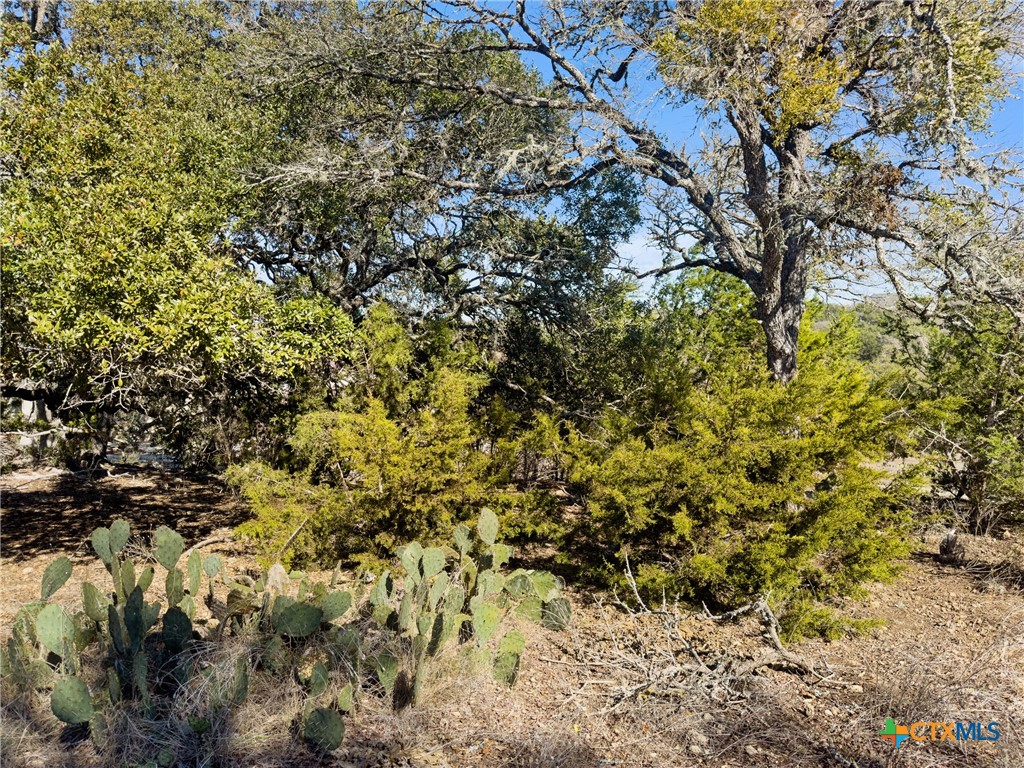 1075 Pegasus Drive Spring Branch, TX 78070 - Photo 14 of 29