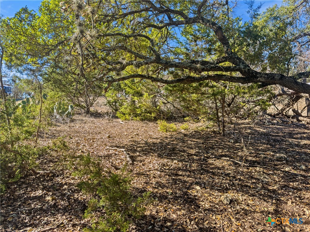 1075 Pegasus Drive Spring Branch, TX 78070 - Photo 15 of 29