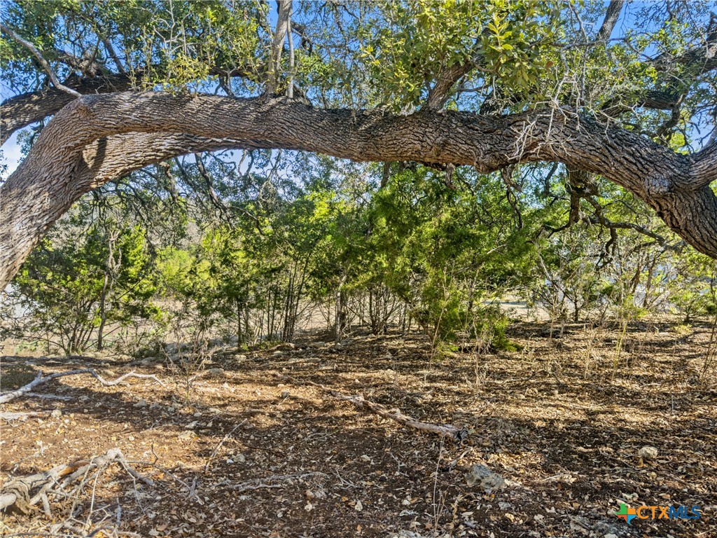 1075 Pegasus Drive Spring Branch, TX 78070 - Photo 16 of 29