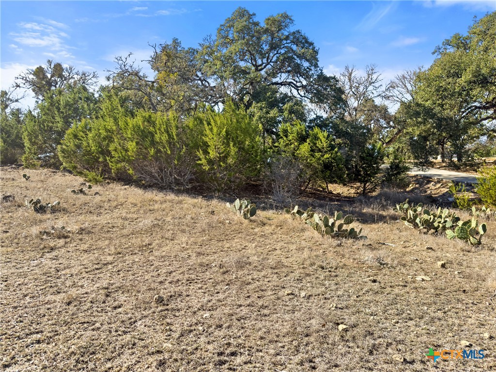 1075 Pegasus Drive Spring Branch, TX 78070 - Photo 17 of 29