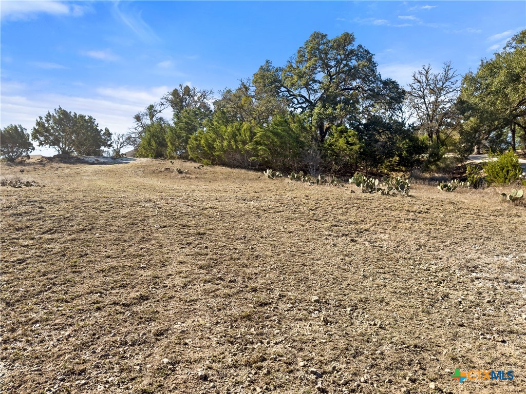 1075 Pegasus Drive Spring Branch, TX 78070 - Photo 18 of 29