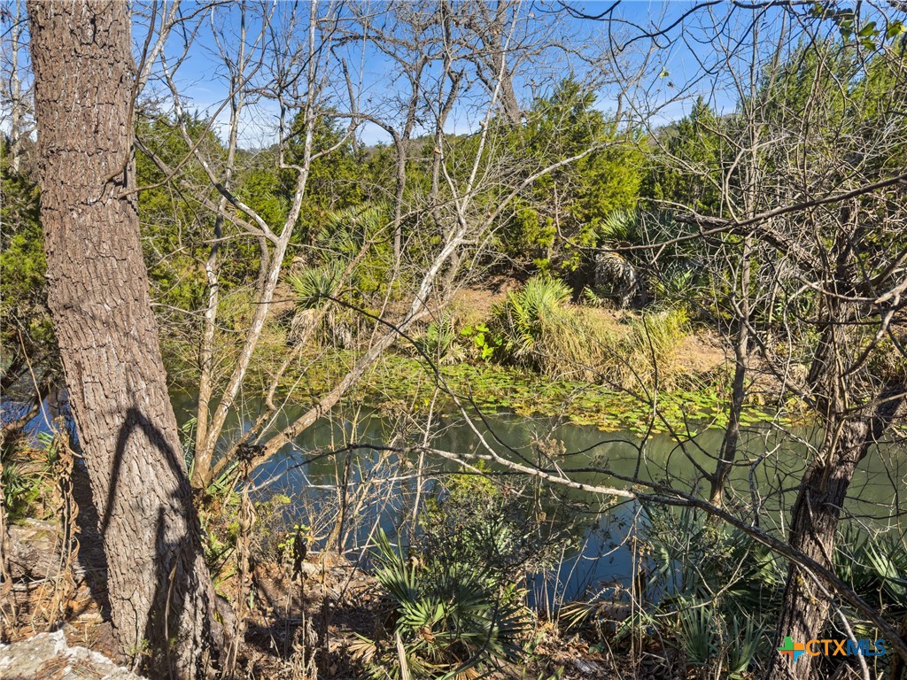 1075 Pegasus Drive Spring Branch, TX 78070 - Photo 19 of 29