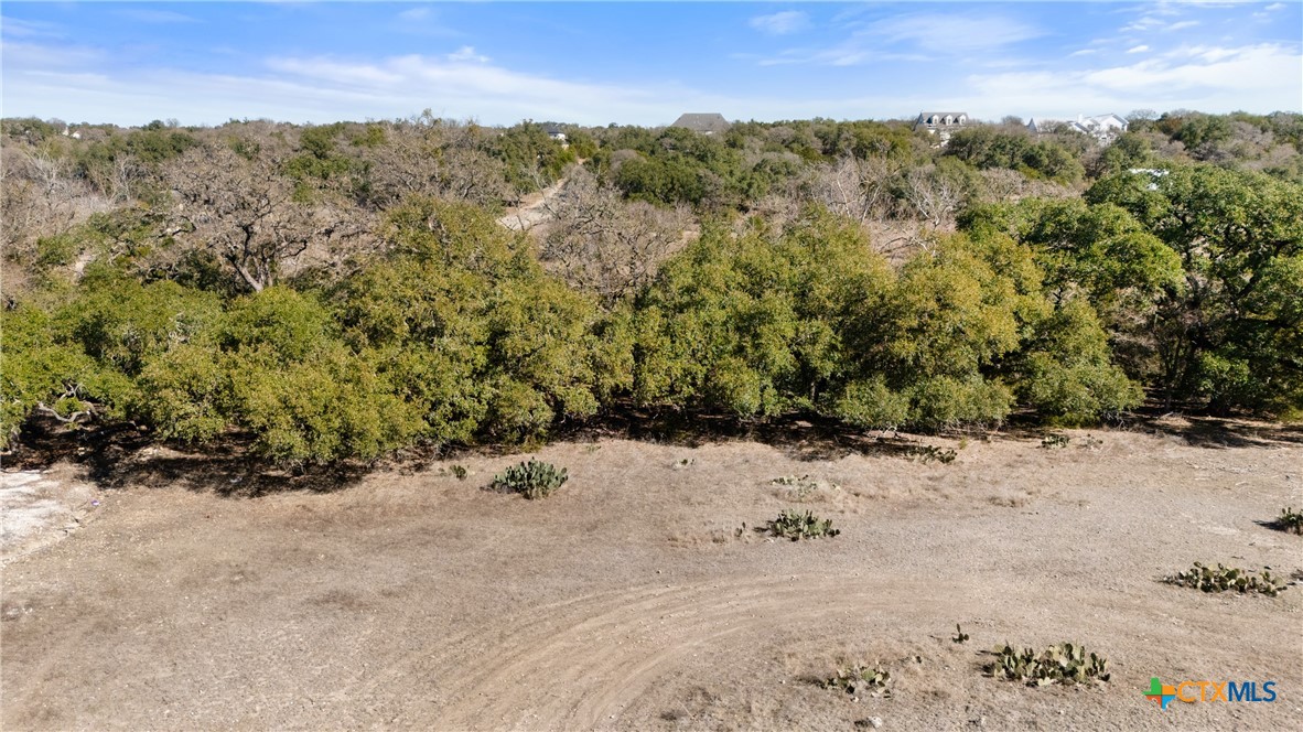 1075 Pegasus Drive Spring Branch, TX 78070 - Photo 21 of 29