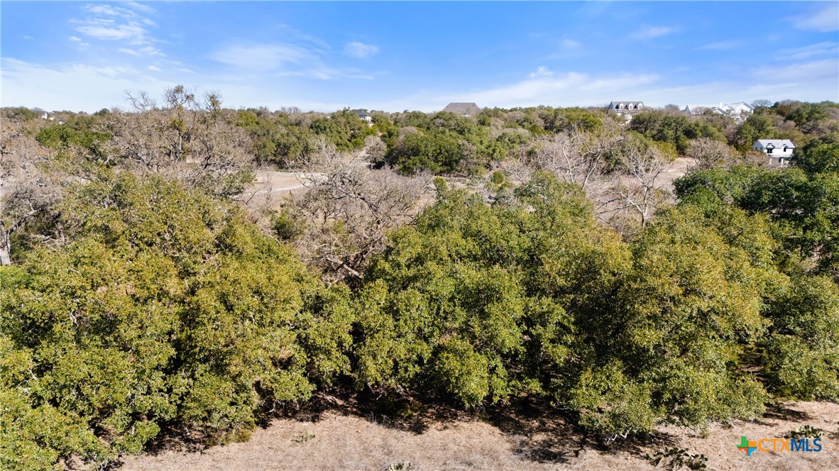 1075 Pegasus Drive Spring Branch, TX 78070 - Photo 22 of 29