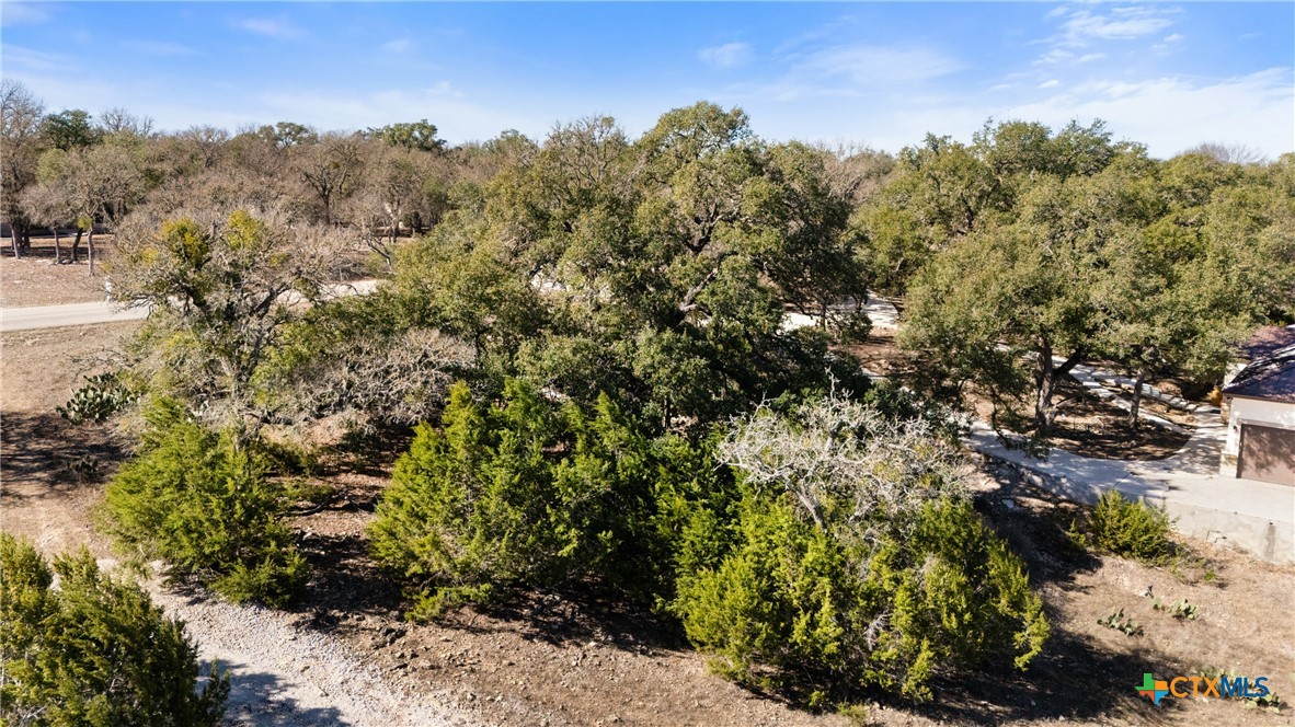 1075 Pegasus Drive Spring Branch, TX 78070 - Photo 28 of 29