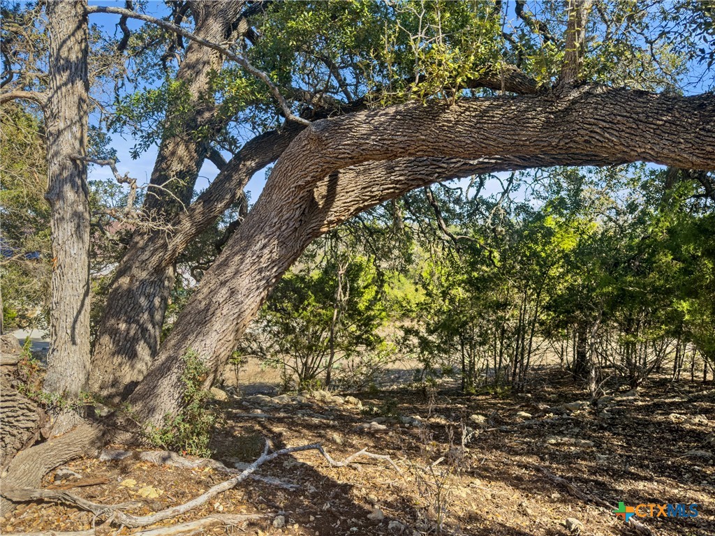 1075 Pegasus Drive Spring Branch, TX 78070 - Photo 4 of 29