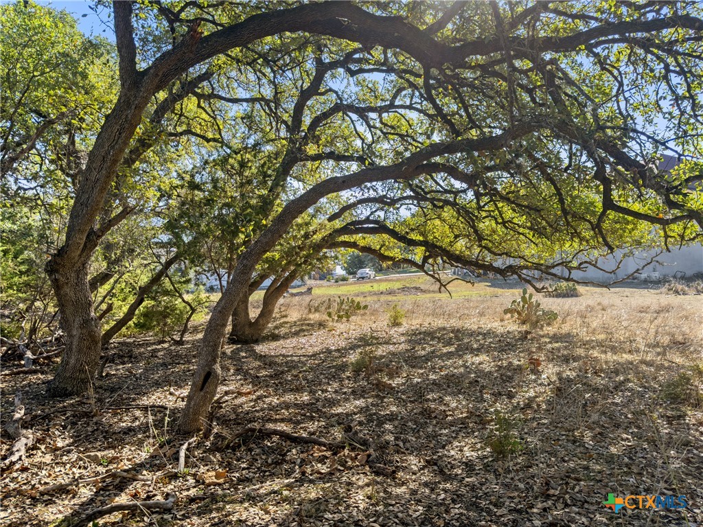 1075 Pegasus Drive Spring Branch, TX 78070 - Photo 5 of 29
