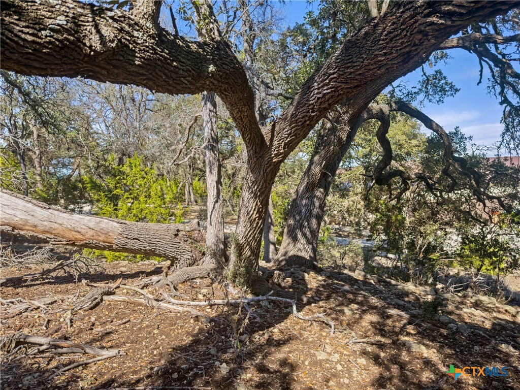 1075 Pegasus Drive Spring Branch, TX 78070 - Photo 6 of 29