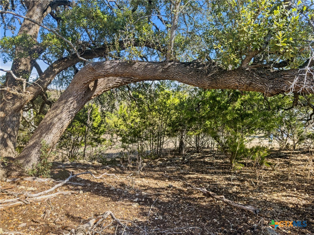1075 Pegasus Drive Spring Branch, TX 78070 - Photo 7 of 29