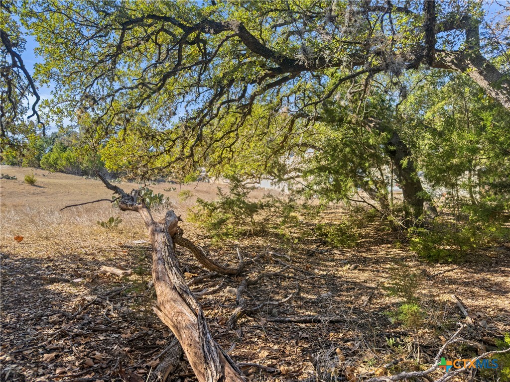 1075 Pegasus Drive Spring Branch, TX 78070 - Photo 8 of 29