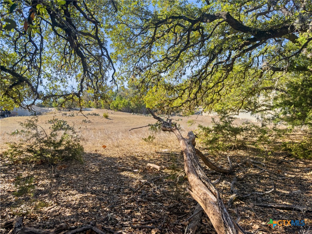 1075 Pegasus Drive Spring Branch, TX 78070 - Photo 9 of 29