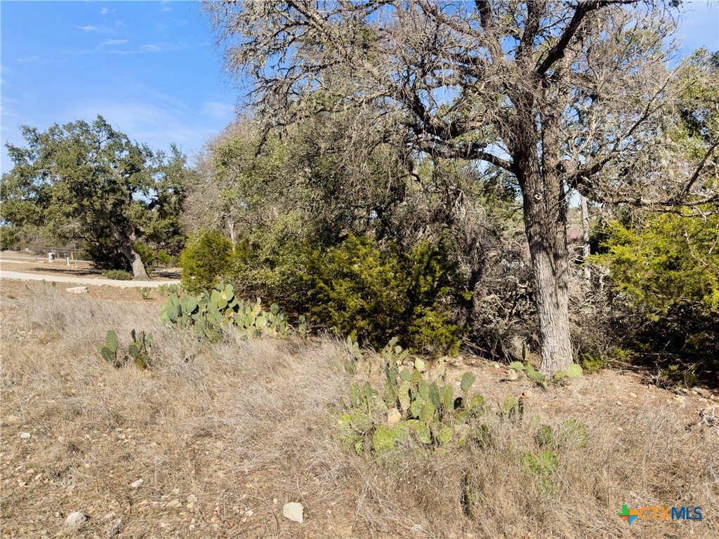 1075 Pegasus Drive Spring Branch, TX 78070 - Photo 10 of 29