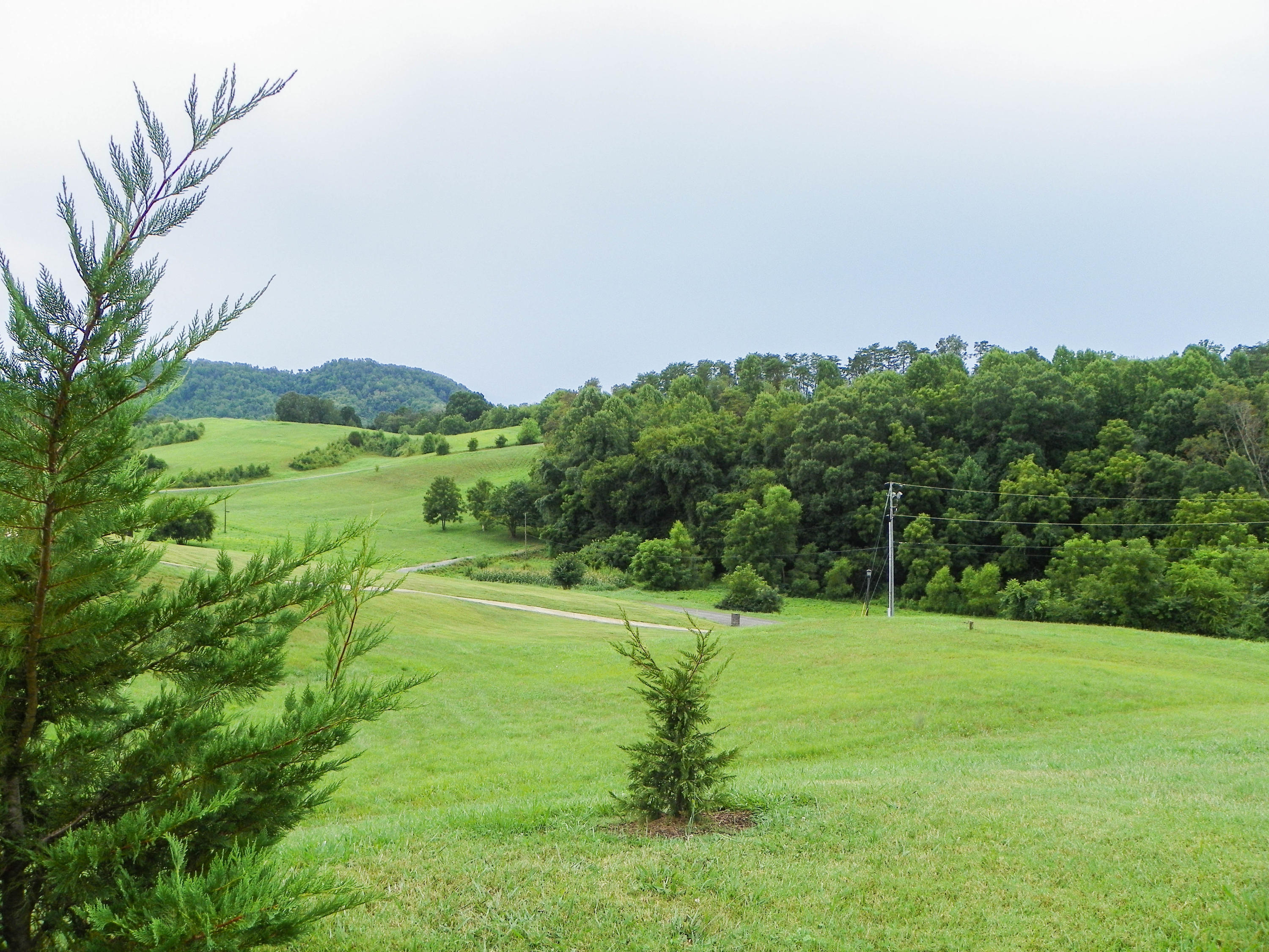 1384 Denton Road Sevierville, TN 37862 - Photo 34 of 36 1384DentonRd (17 of 77)