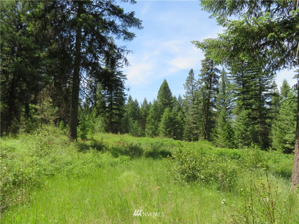 4 Boulder Creek Road Curlew, WA 99118 - Photo 1 of 20 Gallery Image 1