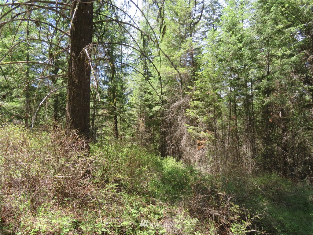 4 Boulder Creek Road Curlew, WA 99118 - Photo 14 of 20 Gallery Image 14