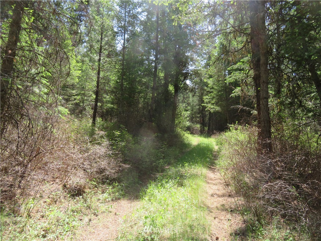 4 Boulder Creek Road Curlew, WA 99118 - Photo 17 of 20 Gallery Image 17