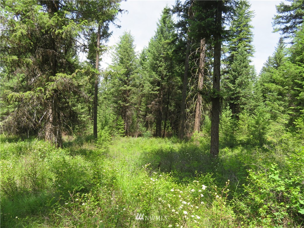 4 Boulder Creek Road Curlew, WA 99118 - Photo 10 of 20 Gallery Image 10