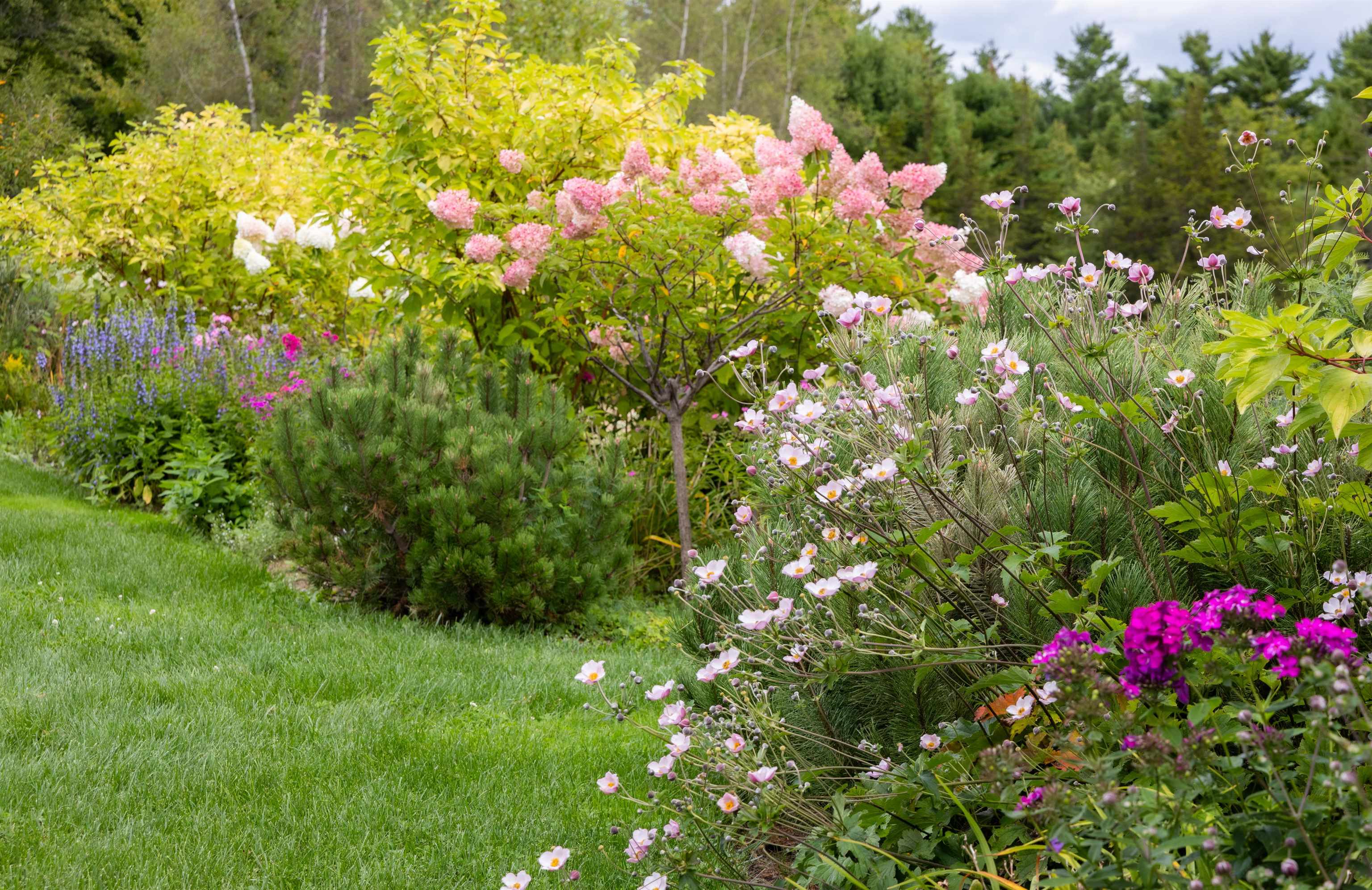 235 Primrose Lane Ferrisburgh, VT 05456 - Photo 49 of 50